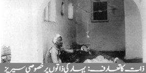 (علامتی تصویر بہ شکریہ: Wikimedia Commons/RV Russell/Public Domain)