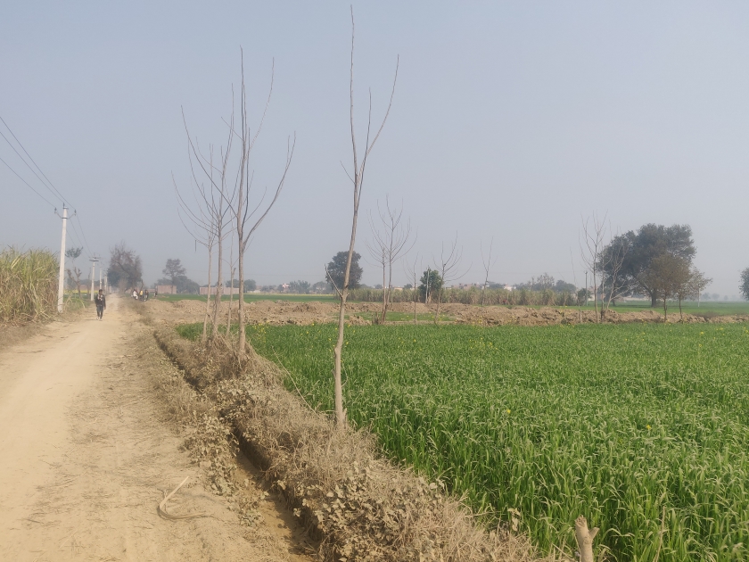 وہ گاؤں جہاں جرم ہوا تھا۔ (تصویر: عمر راشد)